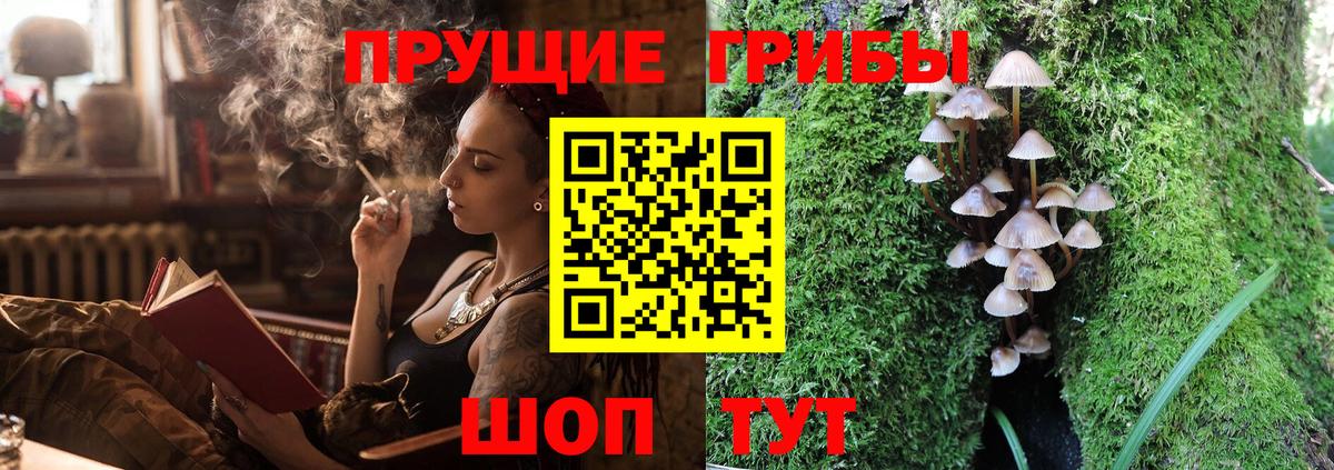 Псилоцибиновые грибы Magic Shrooms  Галлюциногенные грибы Magic Shrooms  Владимир  Вход с VPN 