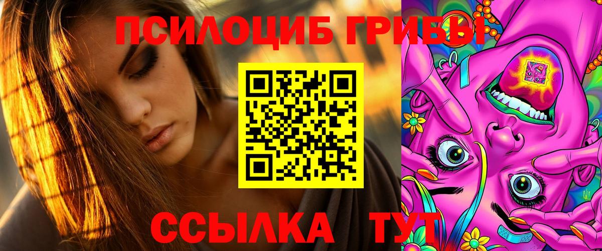 Псилоцибиновые грибы Cubensis Владимир