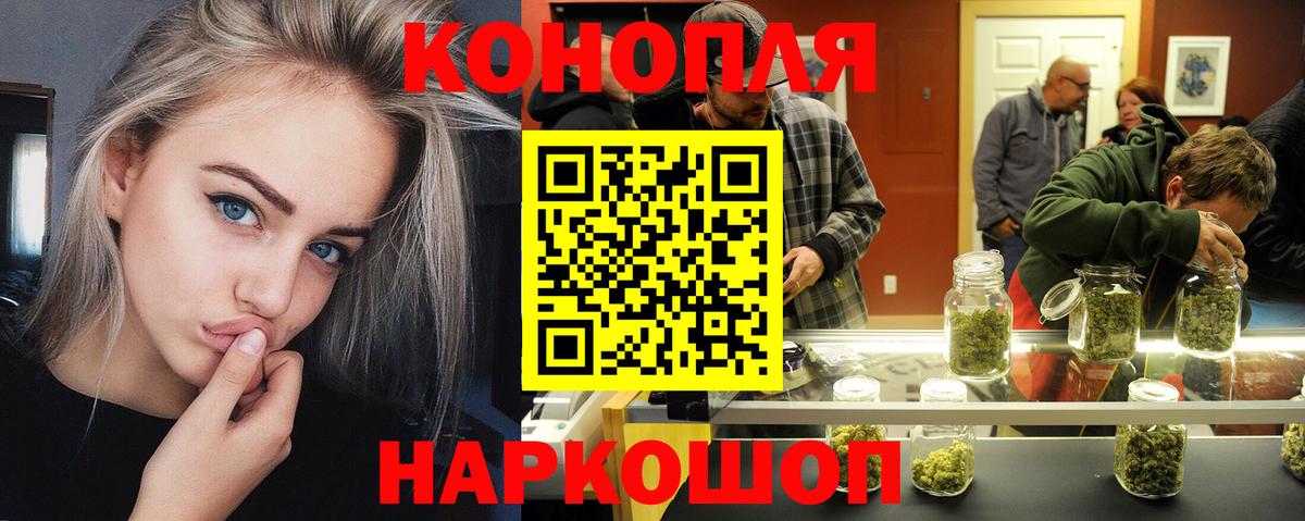 Псилоцибиновые грибы Владимир